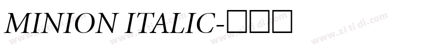 MINION ITALIC字体转换 MINION ITALIC字体转换